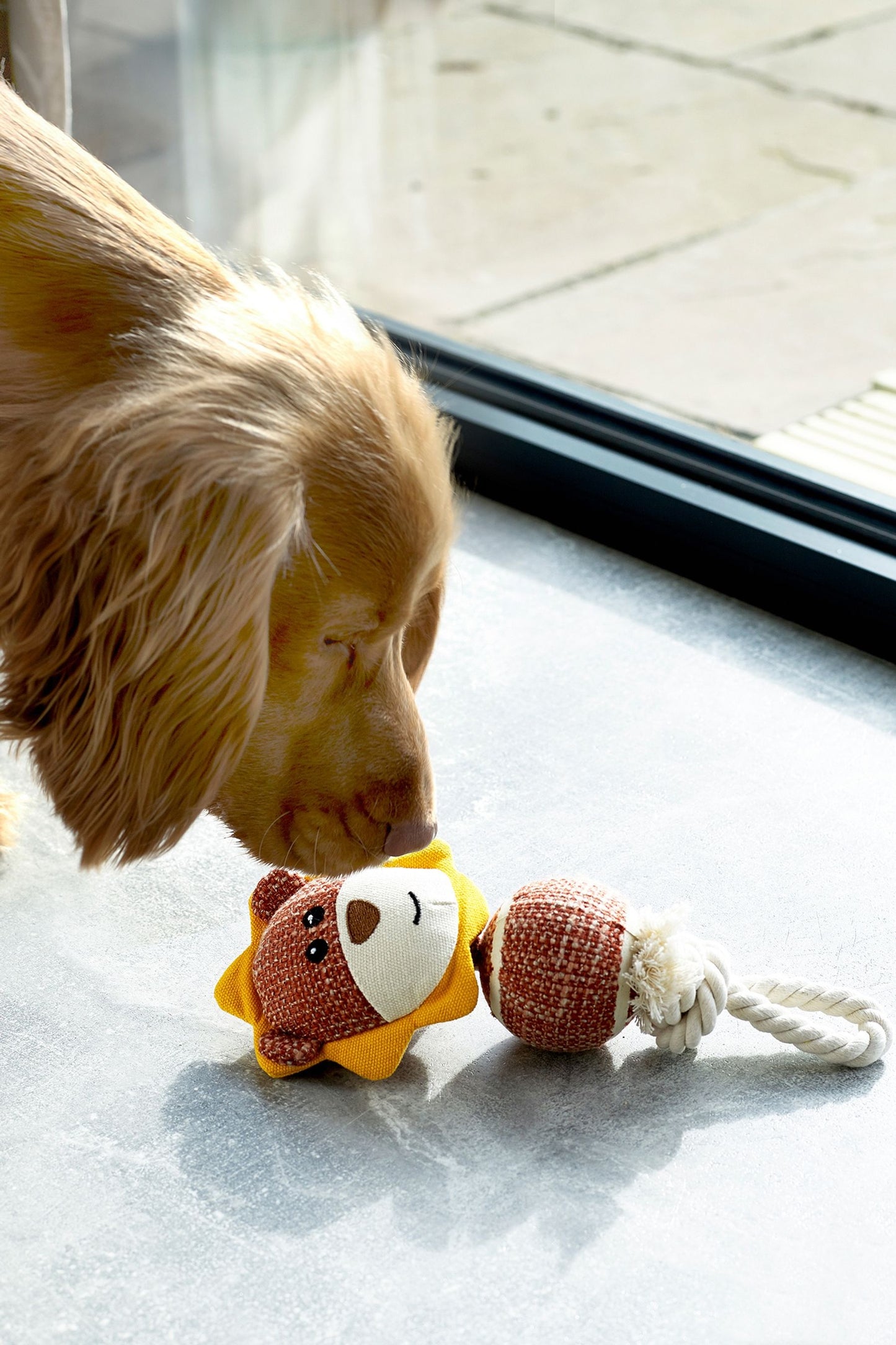 Next - Brinquedo de cachorro