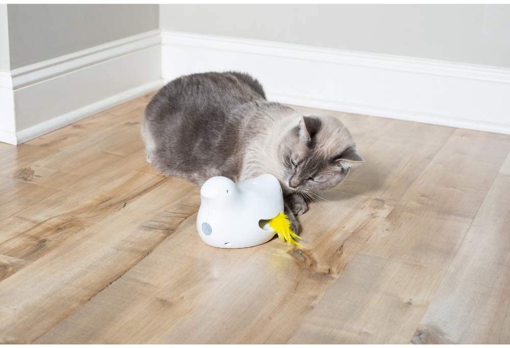 PetSafe - Brinquedo eletrônico para gatos