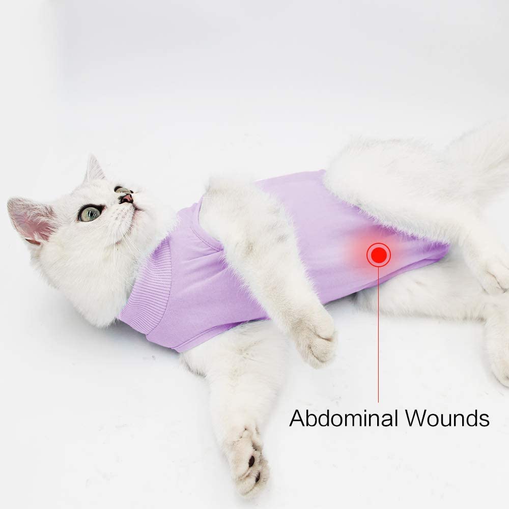 LIANZIMAU - Roupa de recuperação para gatos com evitar lamber para feridas