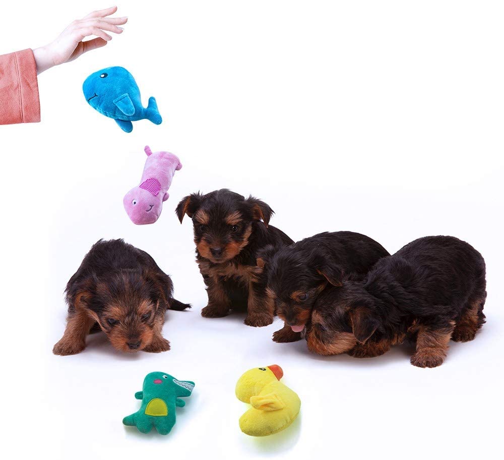 AWOOF - brinquedos para cães 10 peças