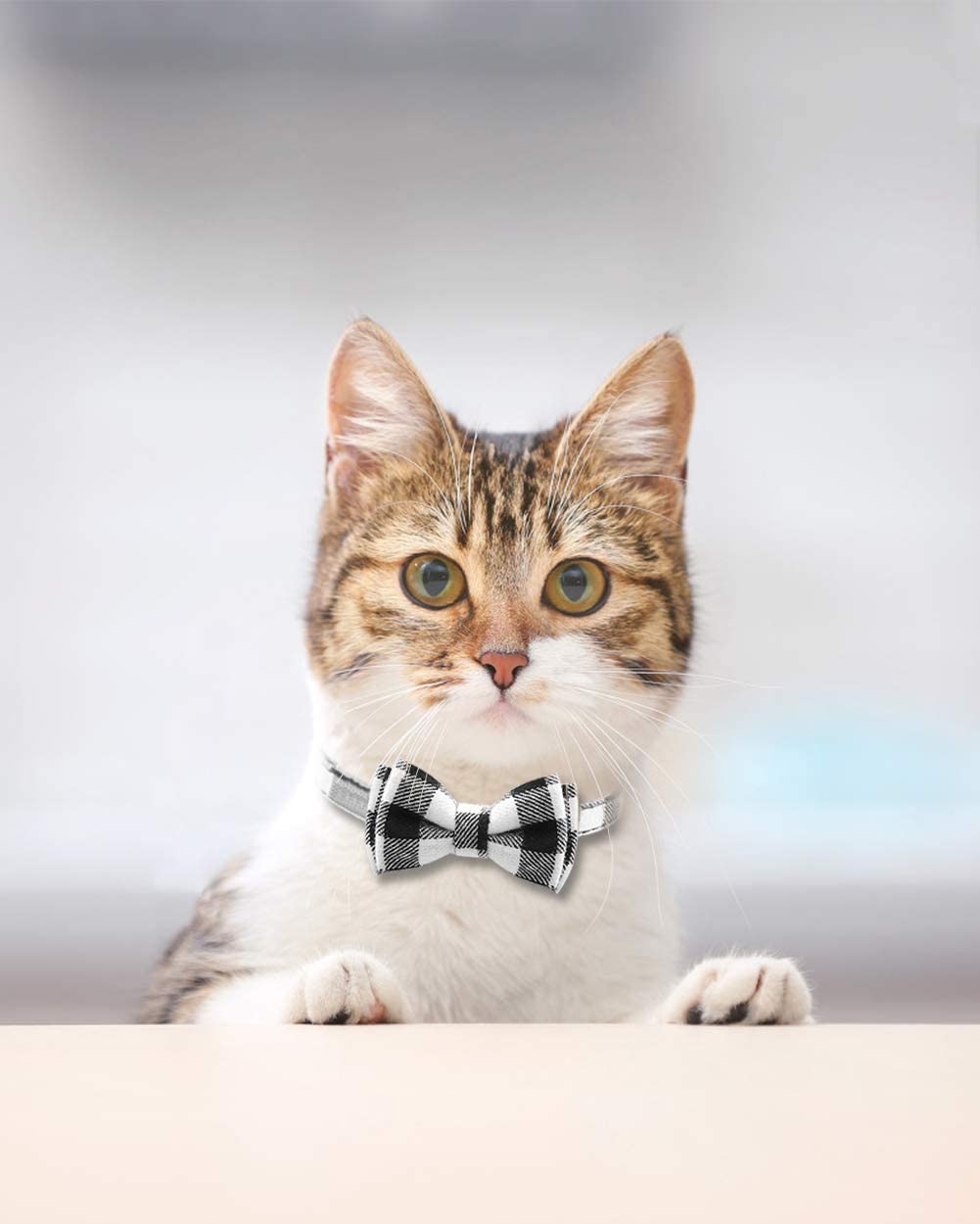 Joytale - Coleira de gato com sino e gravata borboleta