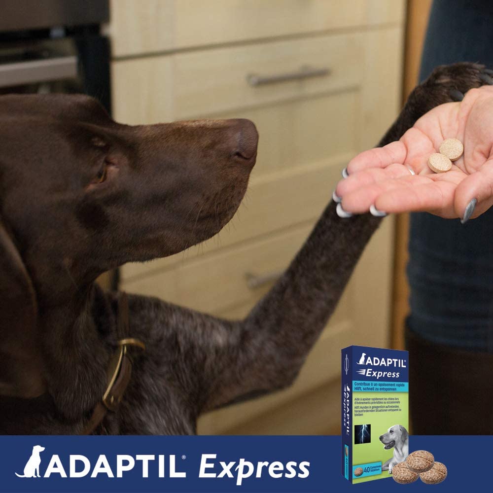 ADAPTIL Comprimidos Express Calmante Rápido 10 tablets