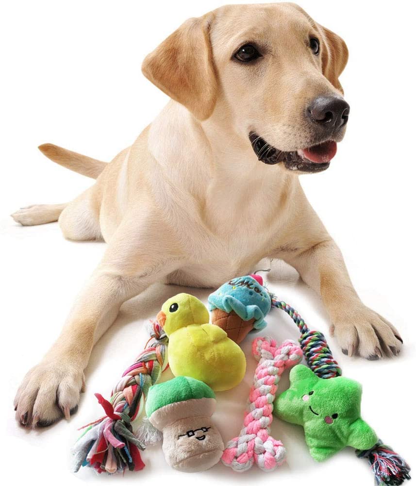 Senyoung - Brinquedos para cães e filhotes de mastigar - 12 unidades