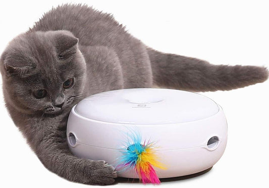 Pettom - Brinquedos interativos para gatos