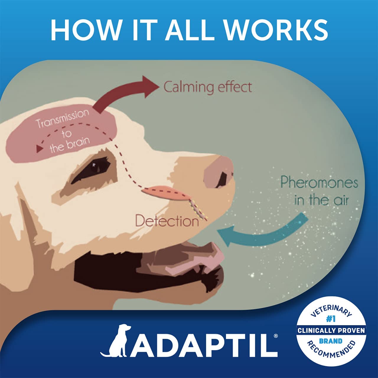 ADAPTIL - Spray para acalmar os cachorros em viagens