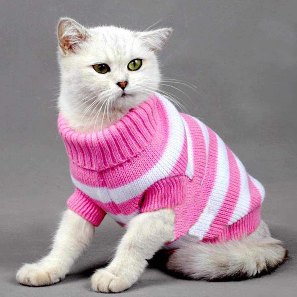 Suéter para animais de estimação de inverno