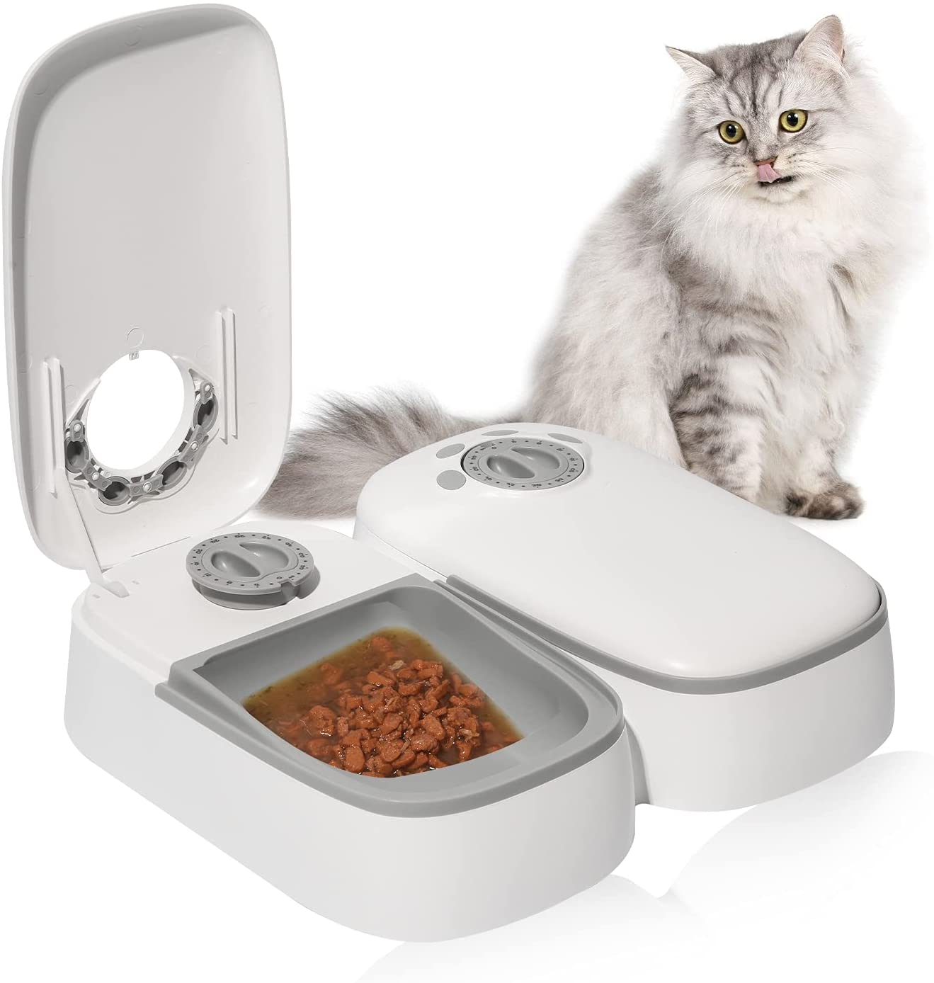 PeTnessGO - alimentador automático para gatos