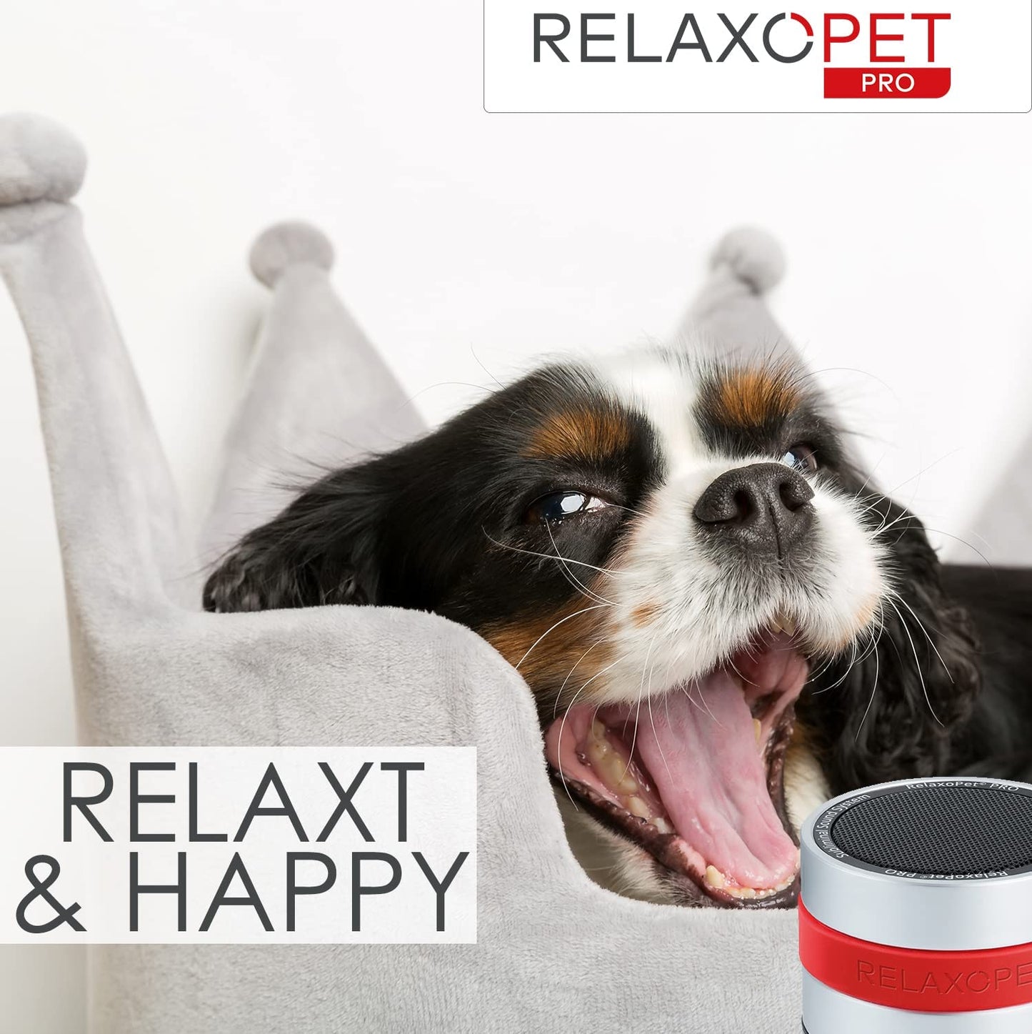 RelaxoPet PRO - Treinador de relaxamento para cães
