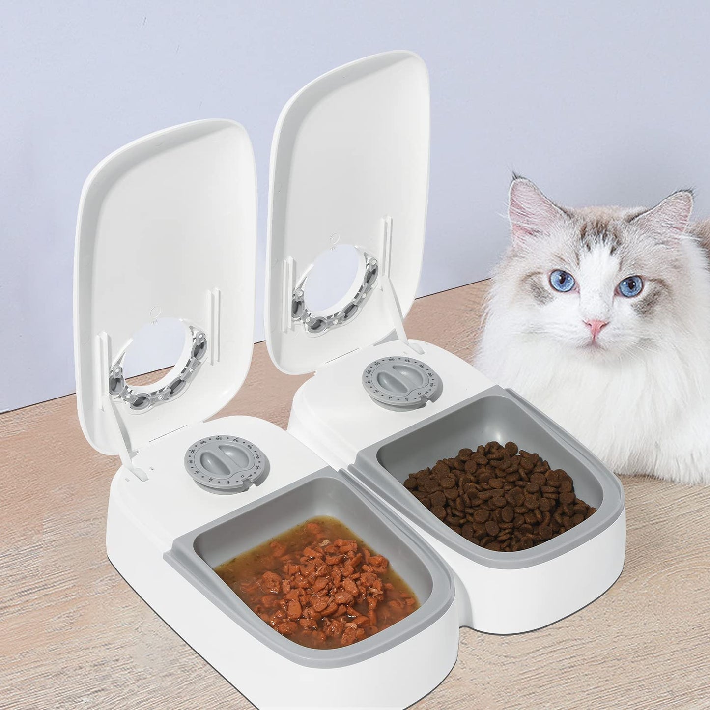 PeTnessGO - alimentador automático para gatos