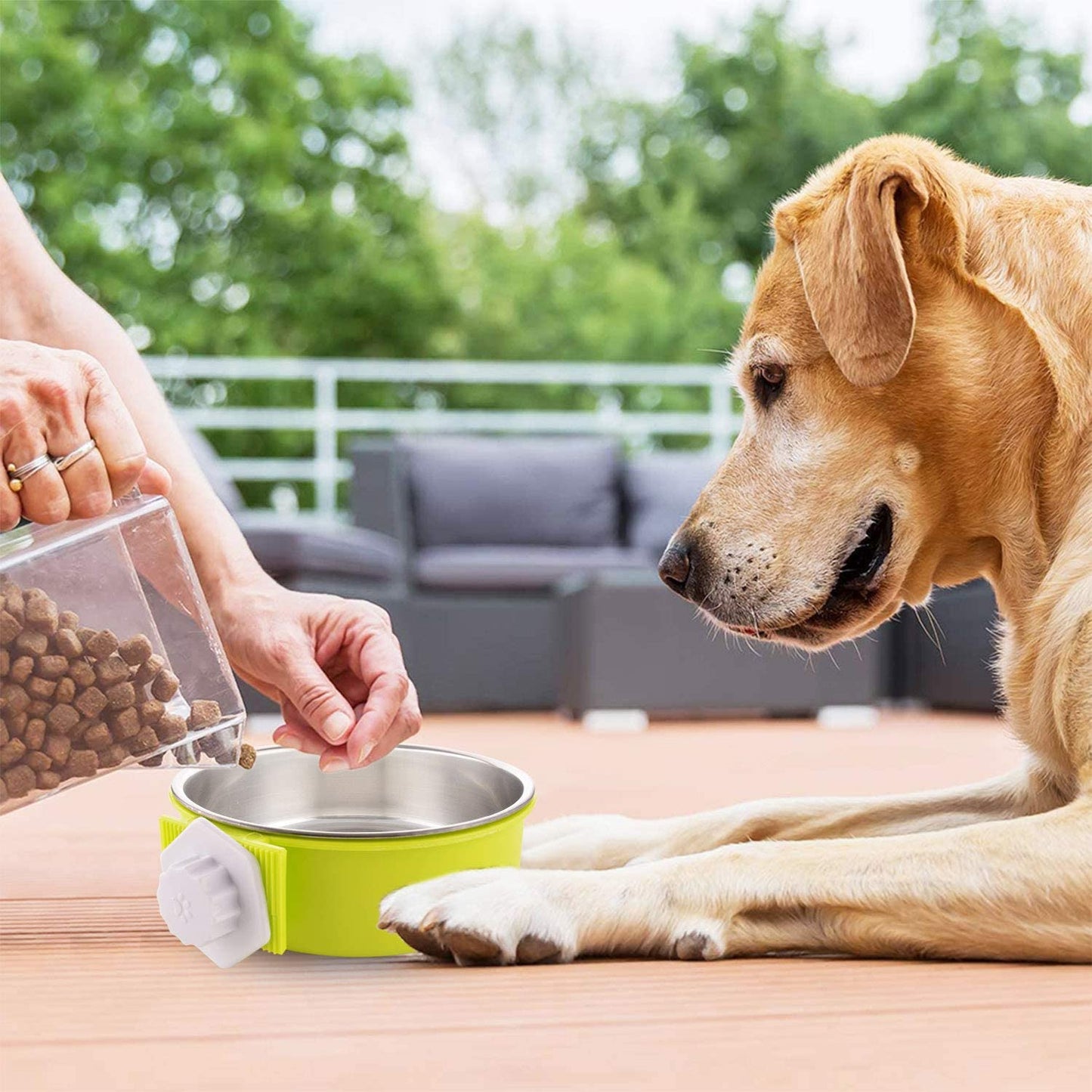 MOACC Tigela removível de aço inoxidável para cães com comedouro de filhote de cachorro de plástico