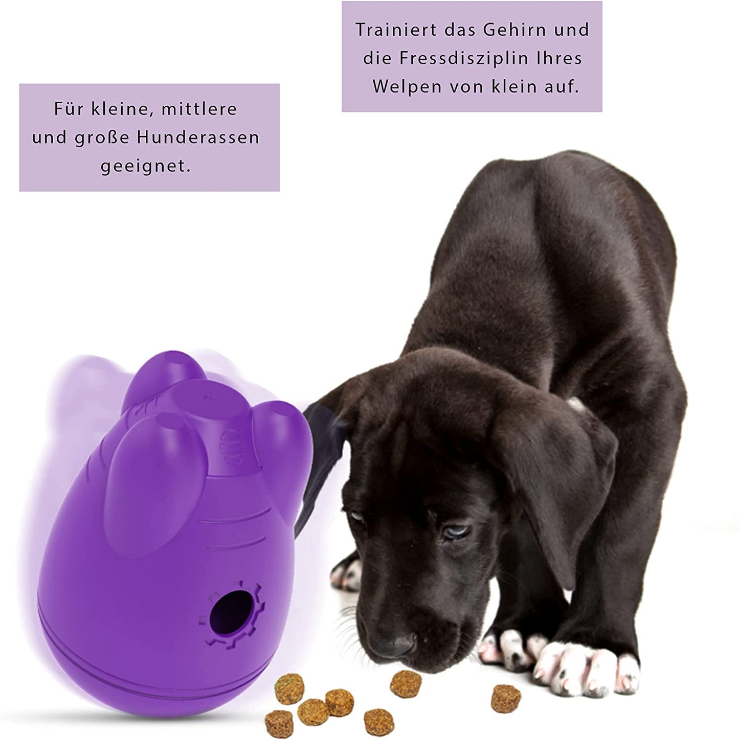 ZIKKTA - Brinquedos para cães, interativos