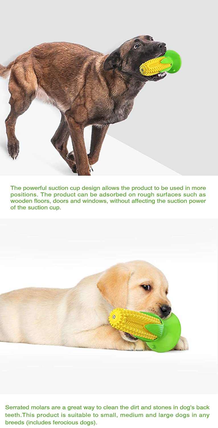 Pet Molar - Brinquedos para mastigar escova de dente para cachorro