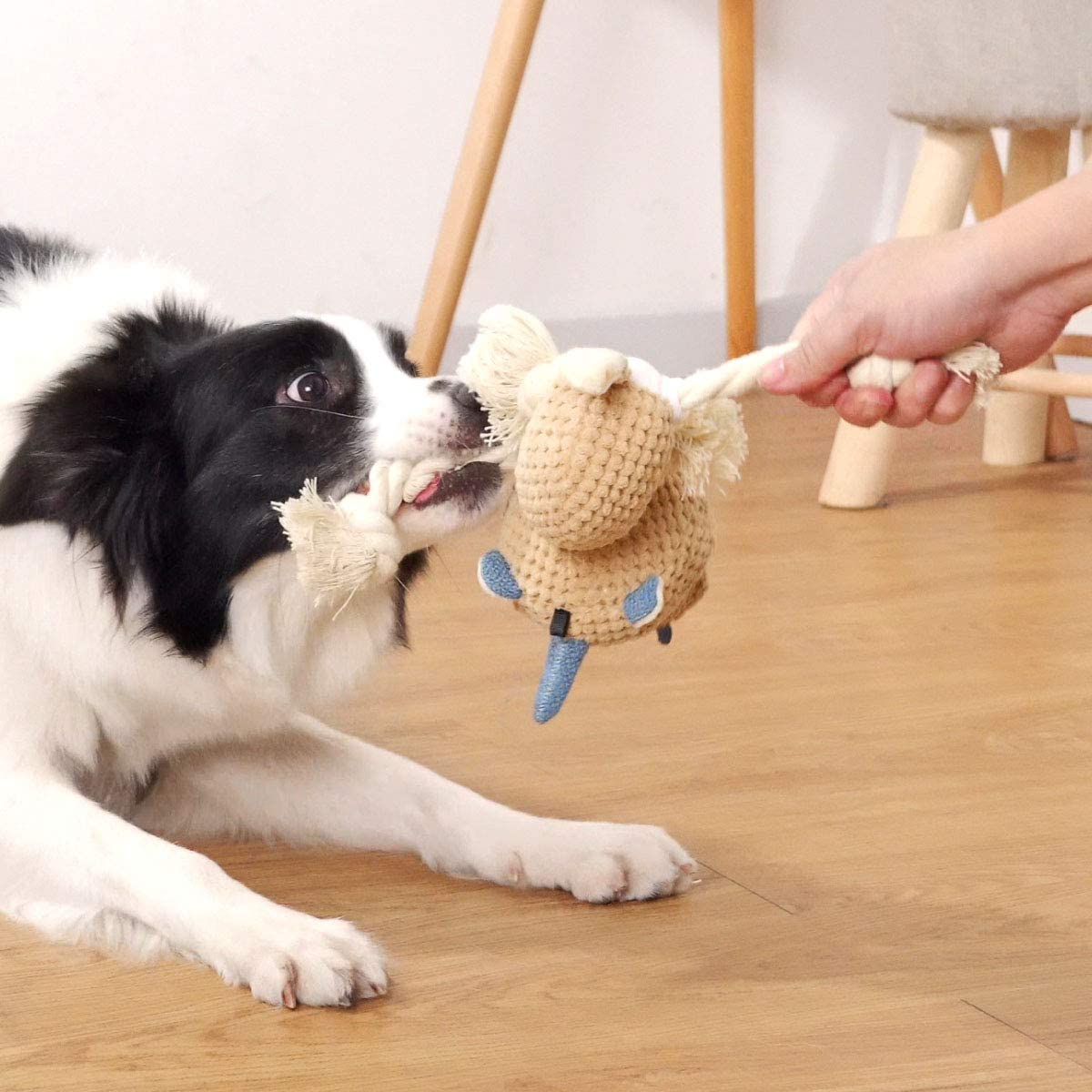 Sedioso - Brinquedos de pelúcia para cães