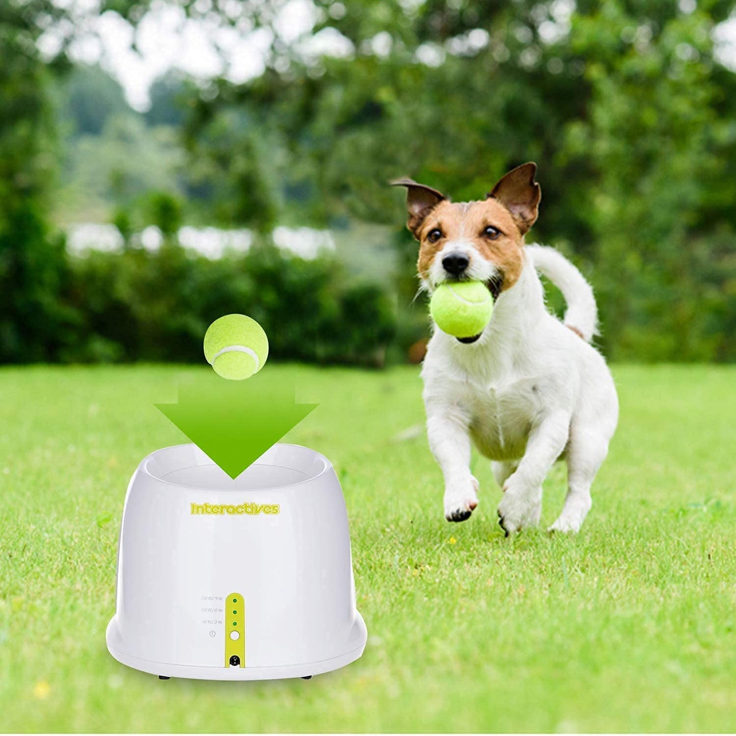 ALL FOR PAWS - Lançador de bola automático para cães
