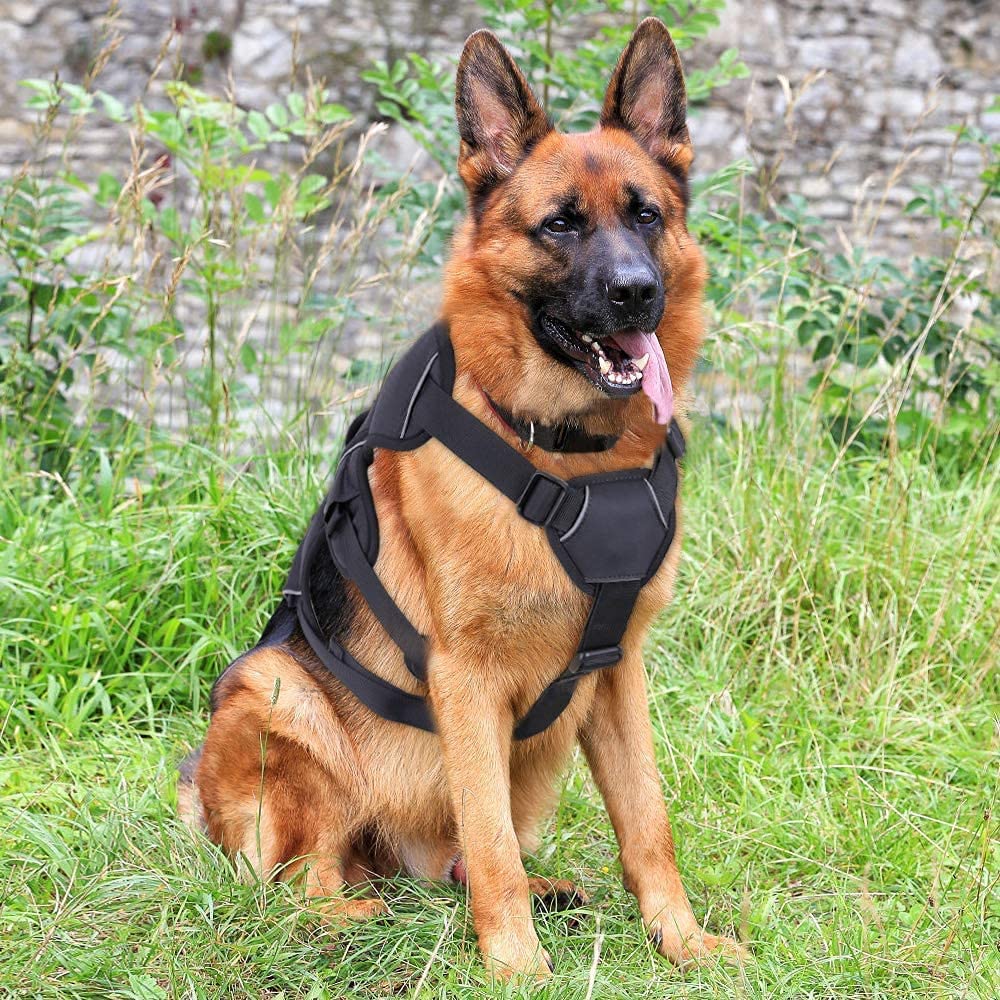 Rabbitgoo  Arnês para cães à prova de fuga, sem tração ajustável