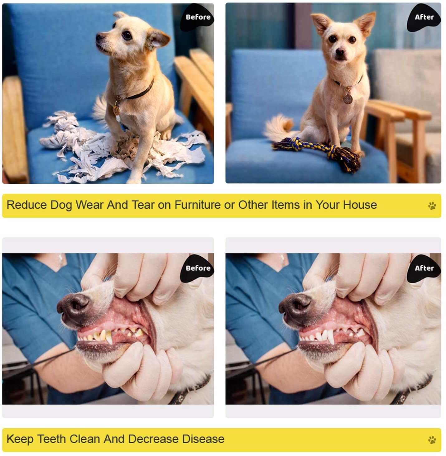 Pet Room - Brinquedos para cães com chiado