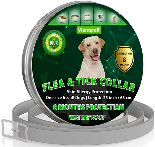 Vienapoli - Tratamento natural contra pulgas para cães