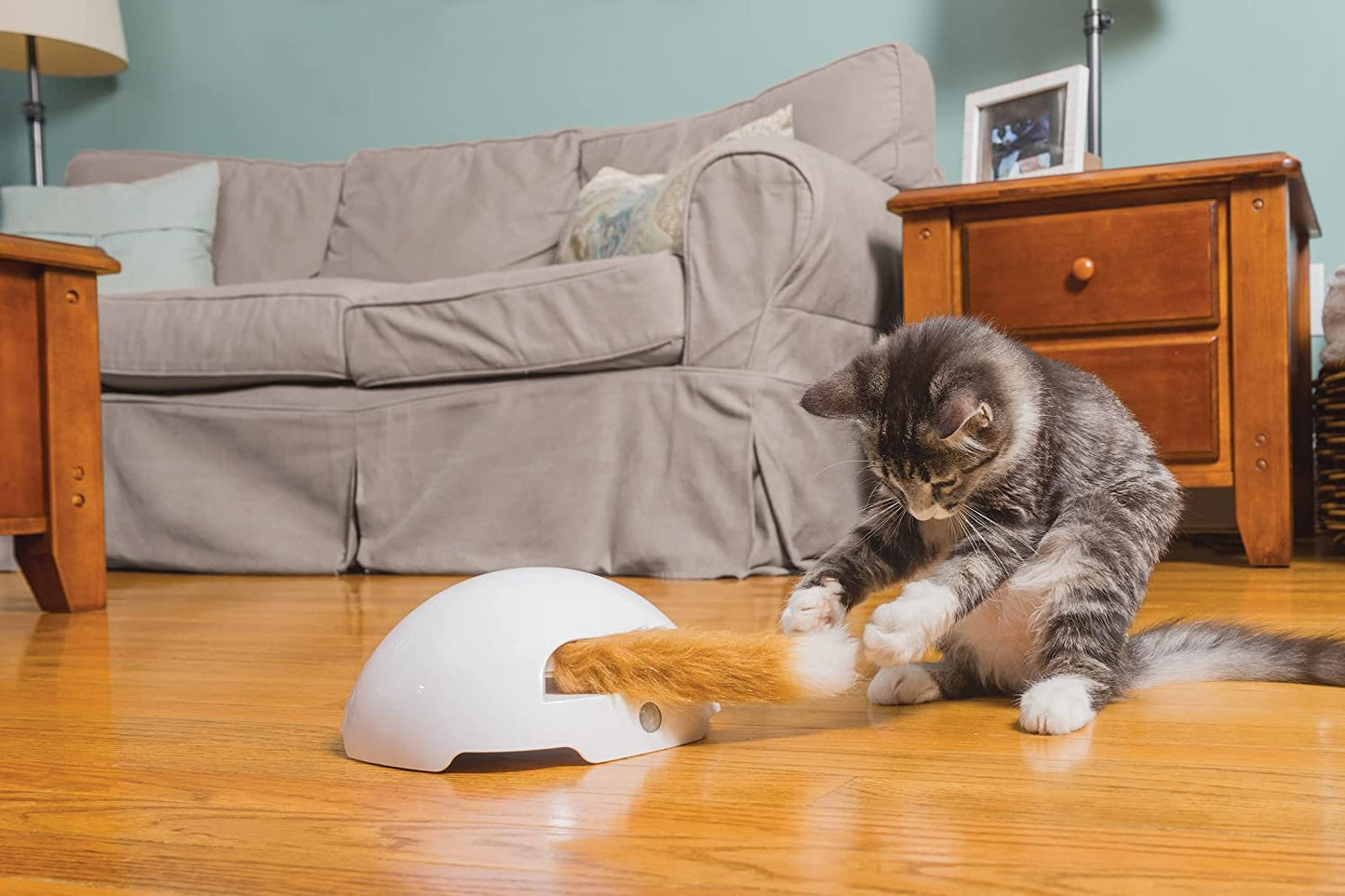 PetSafe Toca da Raposa Brinquedo Interativo para Gatos