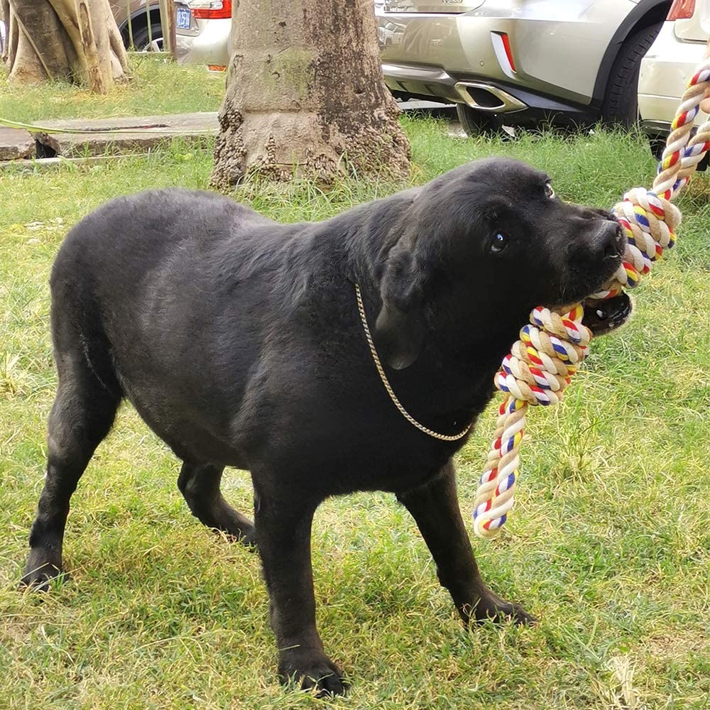 FONPOO - Brinquedos para cães com design indestrutível