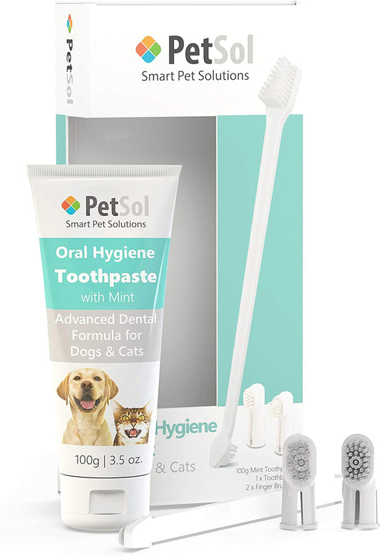 PetSol - Kit de cuidados dentários para cães e gatos