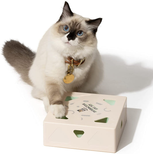 MEWOOFUN - Brinquedos de gato interativo