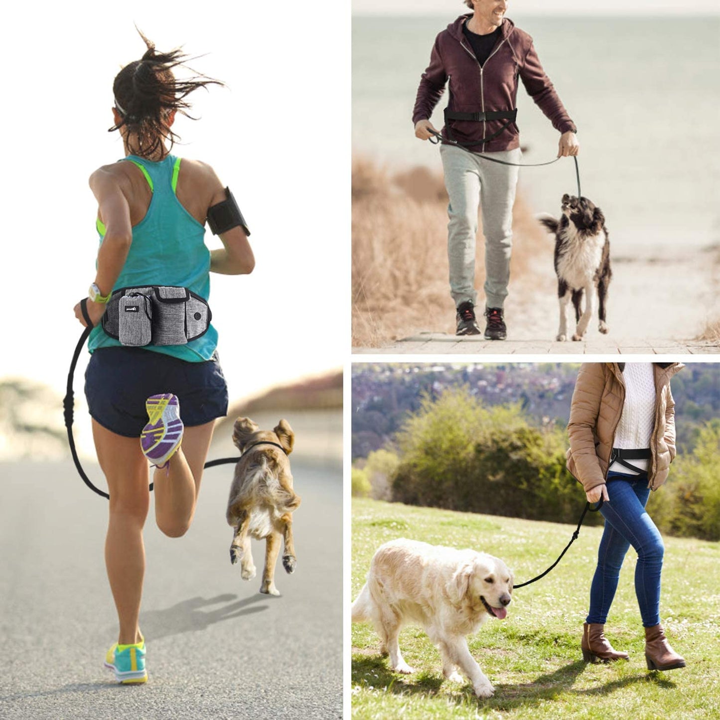 Pecute - Guia de corrida de cão sem as mãos com amplo suporte para as costas