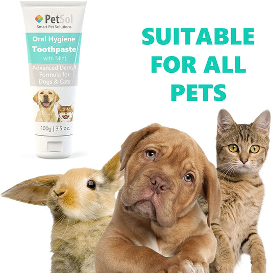 PetSol - Pasta de dente para cães e gatos 100g