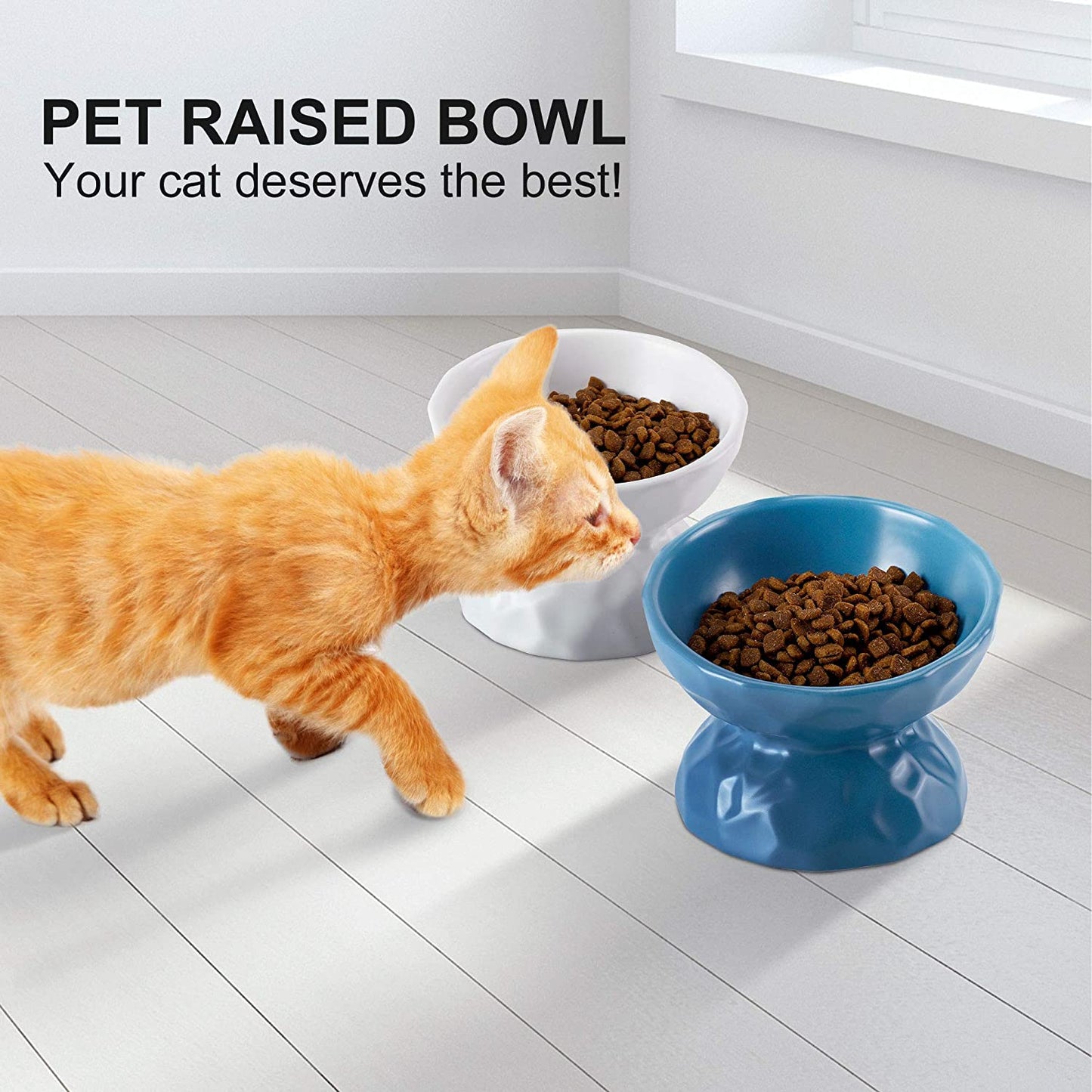 PETTOM - Tigelas de cerâmica para gatos com elevação simples