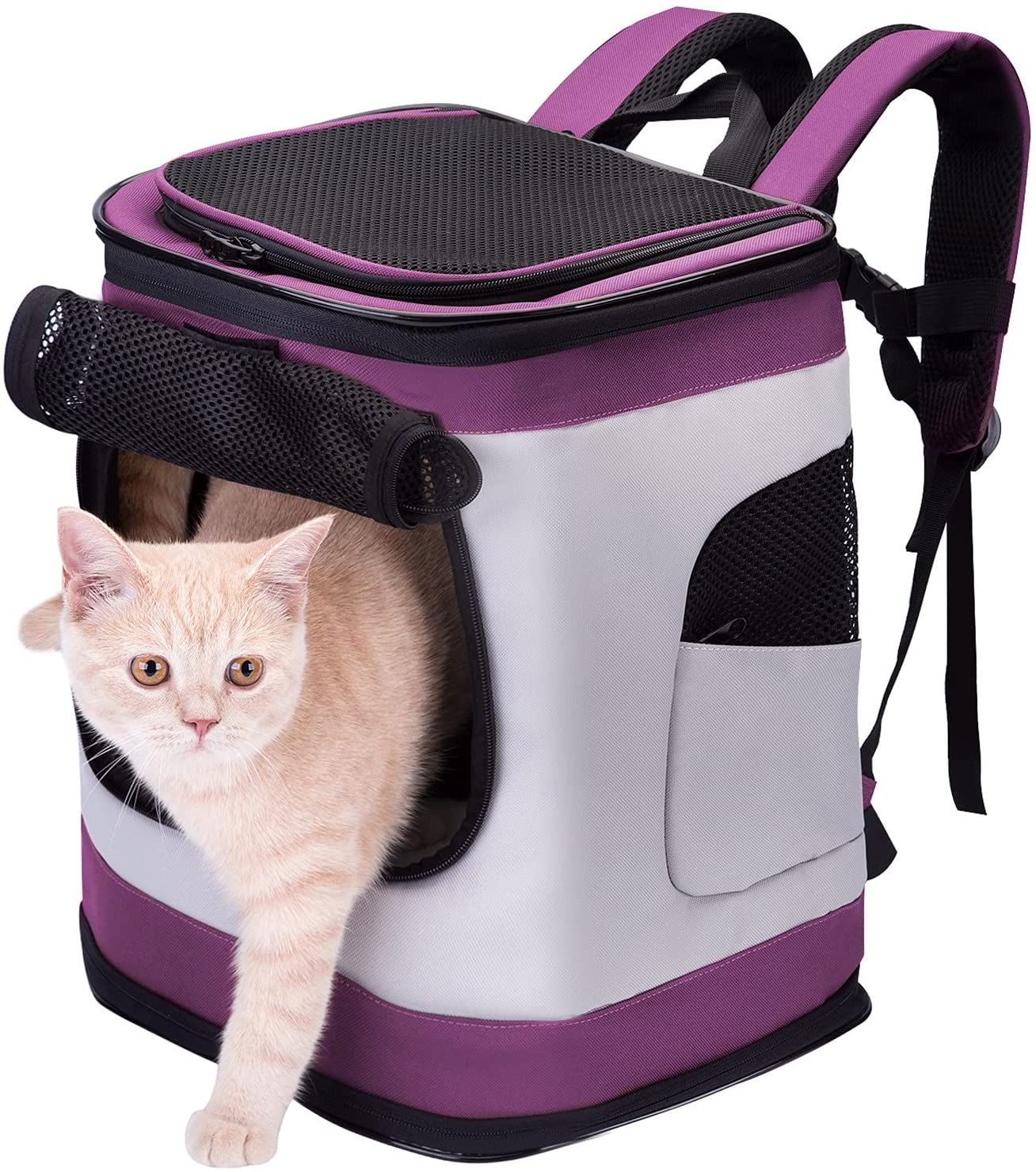 HAPPY HACHI Bolsa Pet Transporte para gato e cachorro