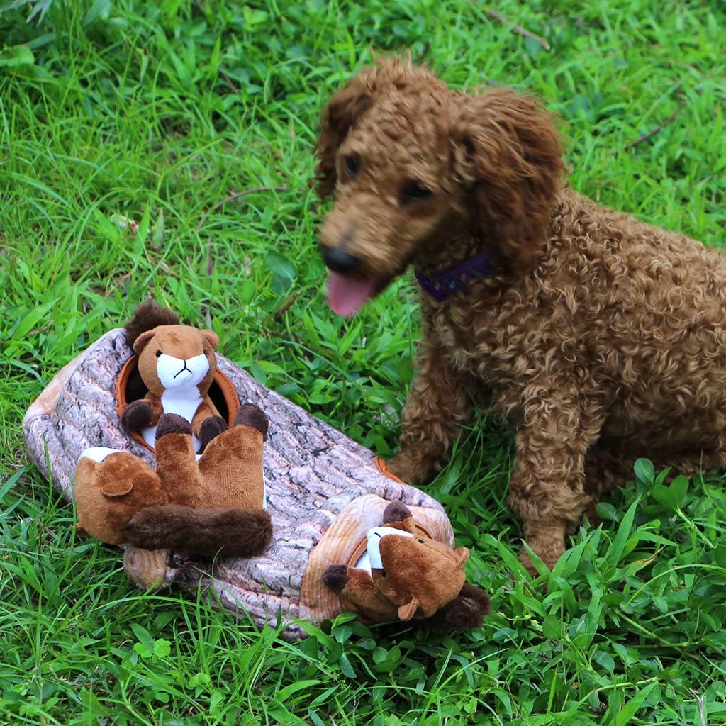 IFOYO - Brinquedos para cachorros