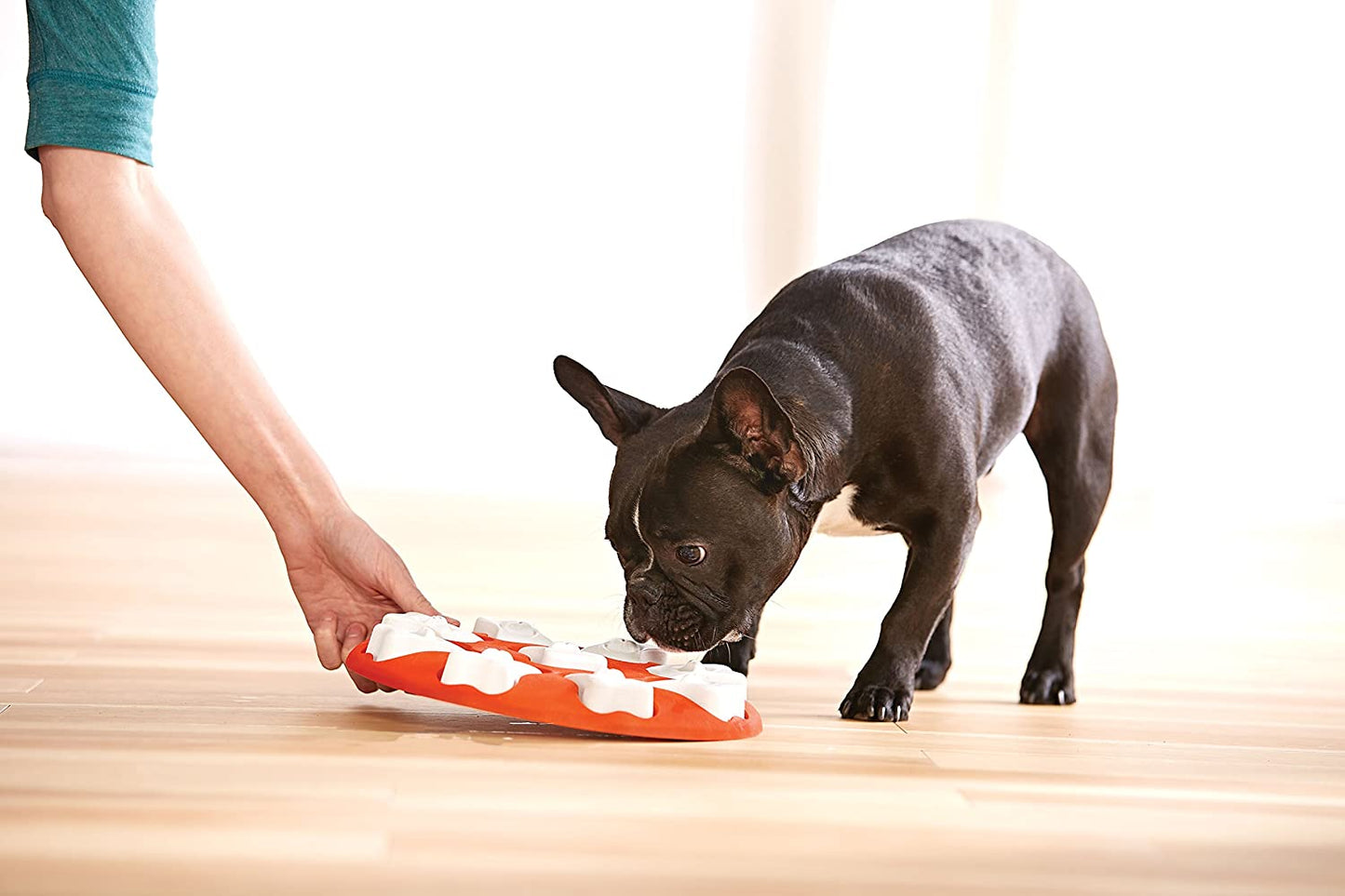 Nina Ottosson  - Brinquedo para Cachorro Interativo Osso Esconde-Esconde