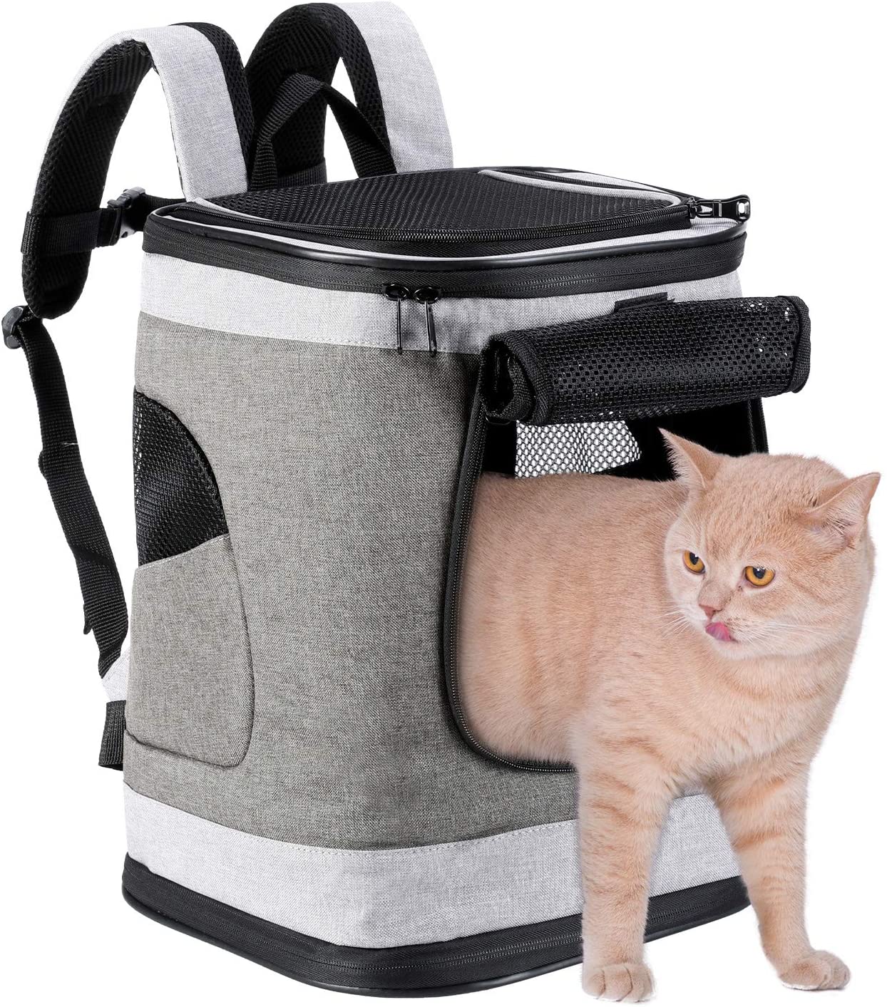 HAPPY HACHI - Bolsa Pet Transporte para gatos e cachorros