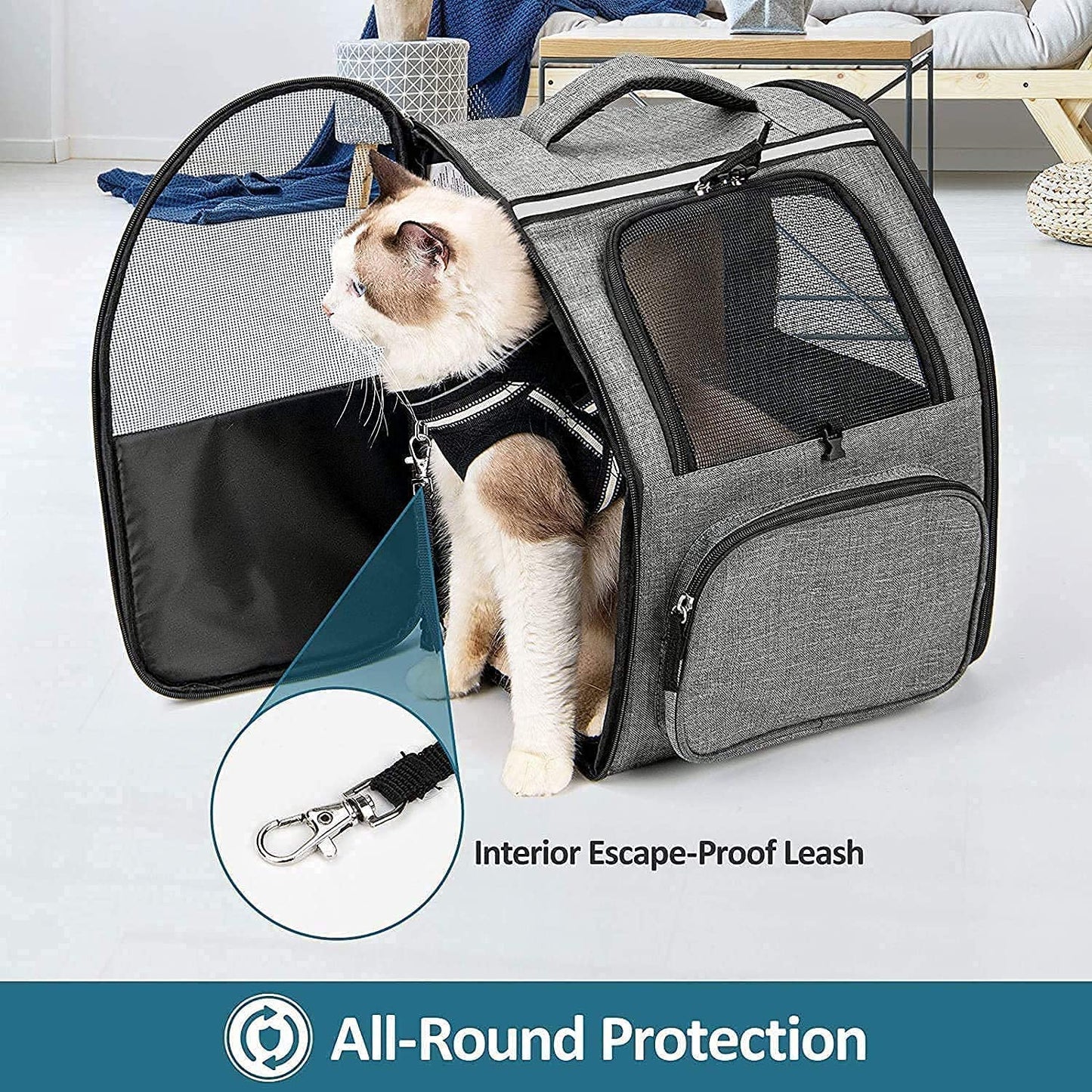 CATROMANCE Mochila Expansível para Transporte de Animais de Estimação