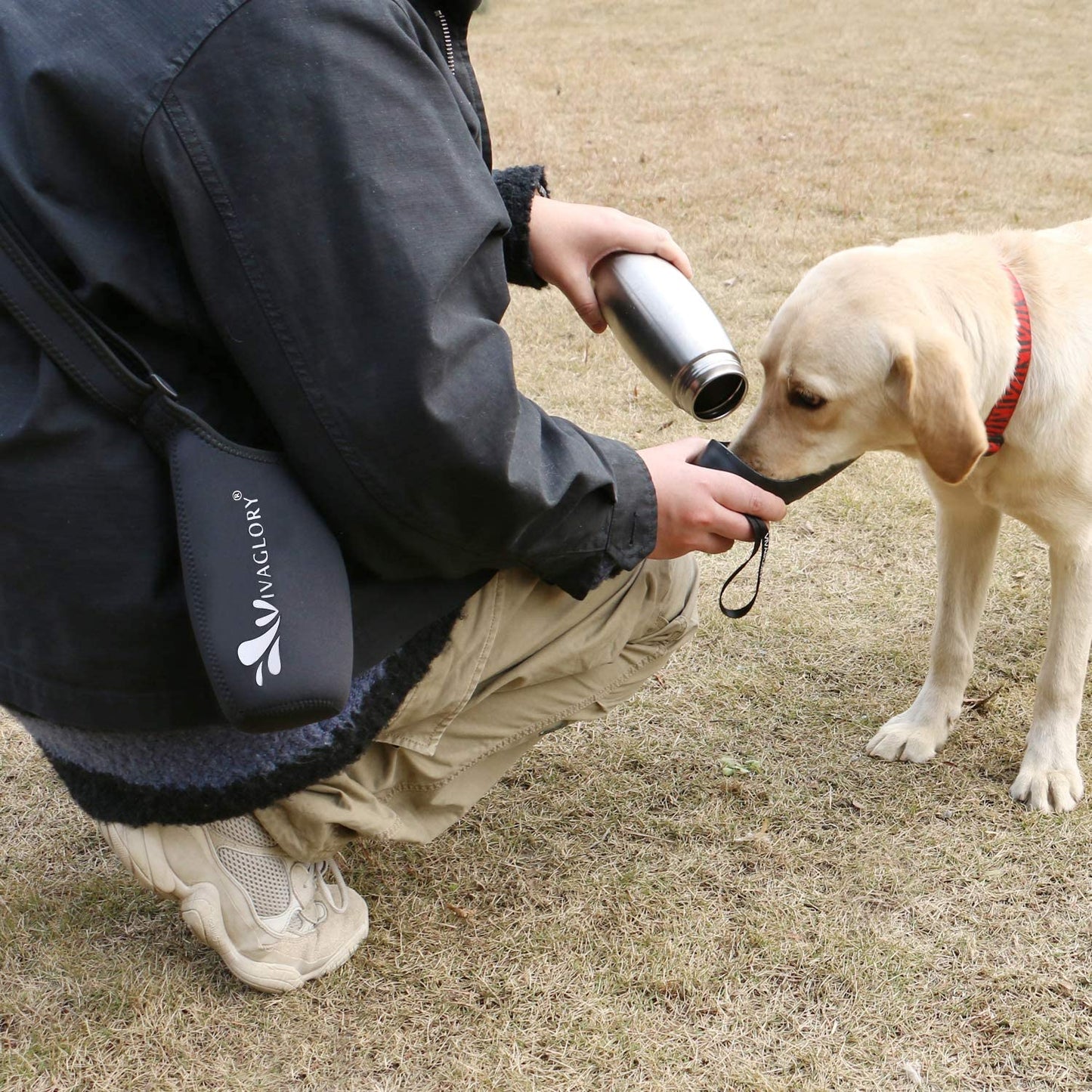 VIVAGLORY - Garrafa de água para cachorro à prova de vazamentos 750ml