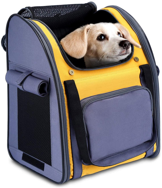 HAPPY HACHI Bolsa Pet Transporte para cachorro e gatos