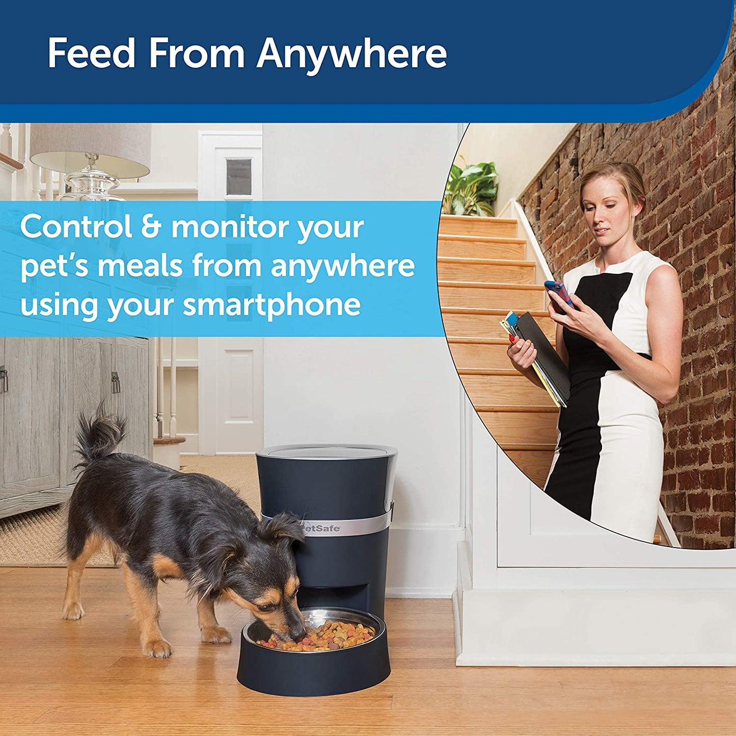 PetSafe - Alimentador automático para cães e gatos Smart Feed, Smartphone