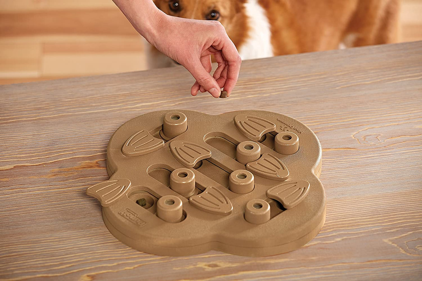 Nina Ottosson - Brinquedo interativo para cães com quebra-cabeça