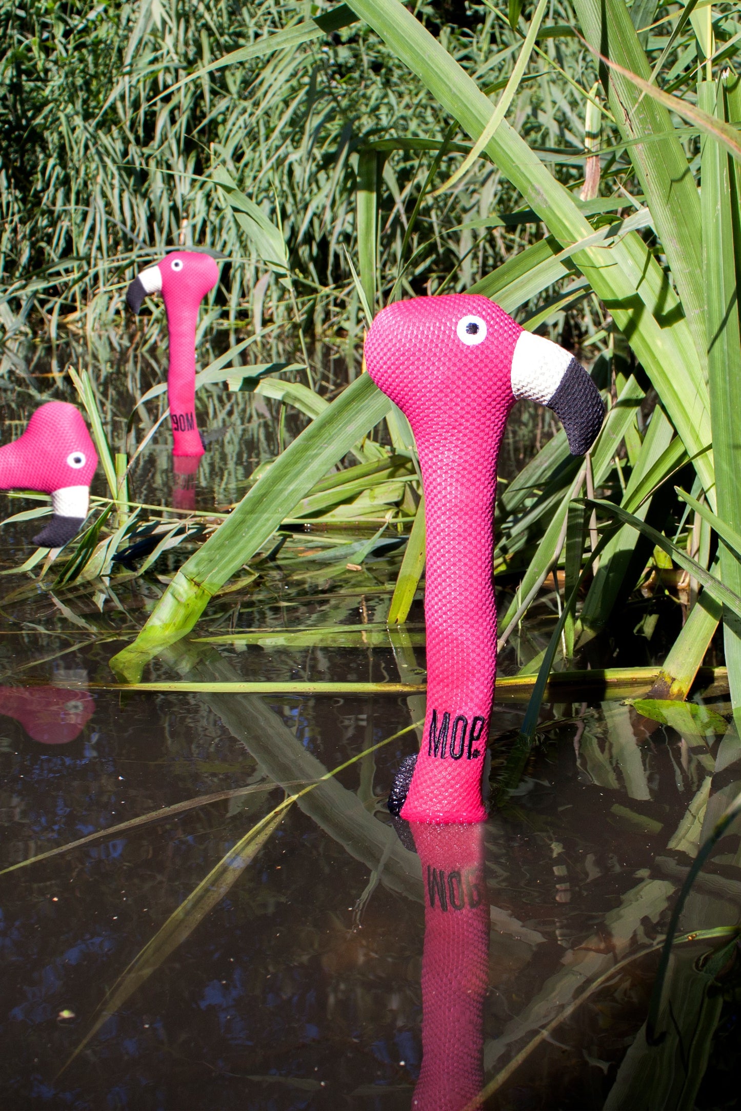 Next - Pacote de acessórios para cães Flamingo